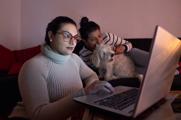 Os melhores filmes de ação para assistir online no Mercado Livre